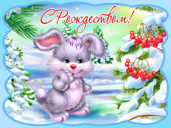 file_95505317