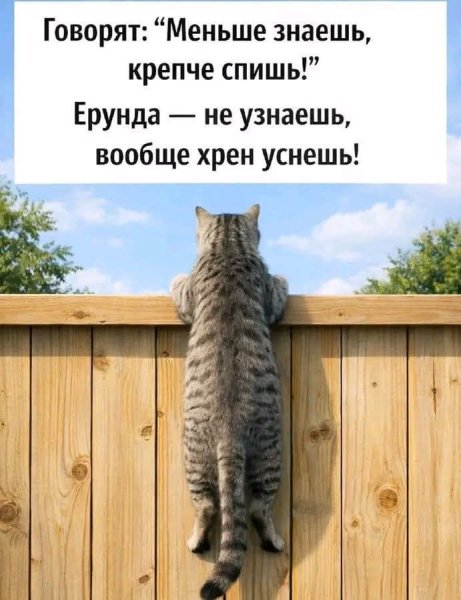 FB IMG 1775030983428