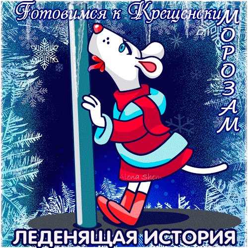 Анимированная открытка мороз на носу