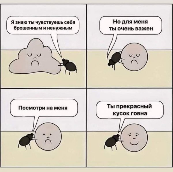FB IMG 1731004970591