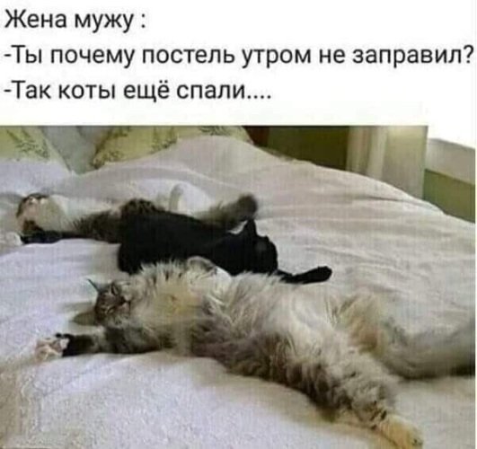 x500