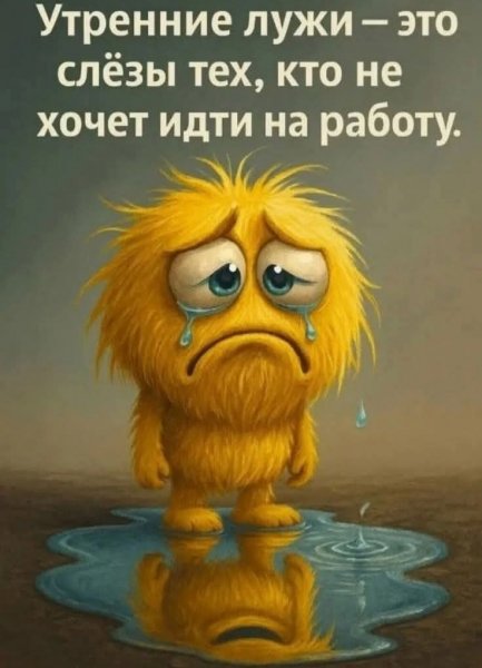 FB IMG 1760643248932