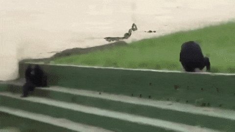 Когда все задолбало