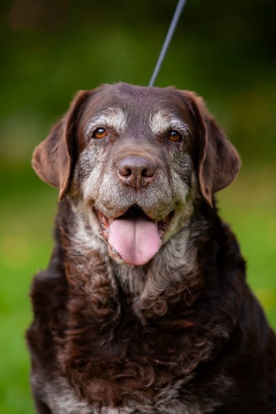 ES8OKNUHVVTFCXRDXL1DGZ7A