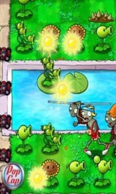 plant vs zombie
