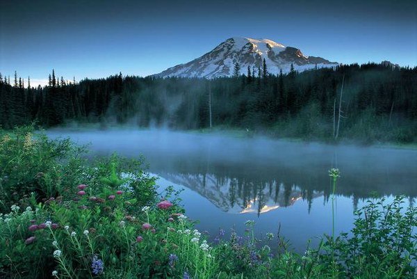 Природа - Звуки природы  Волчий вой