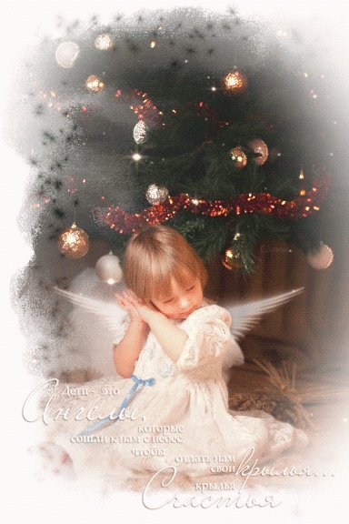 0f37cafba2ea82ef34e4c11035a998c5