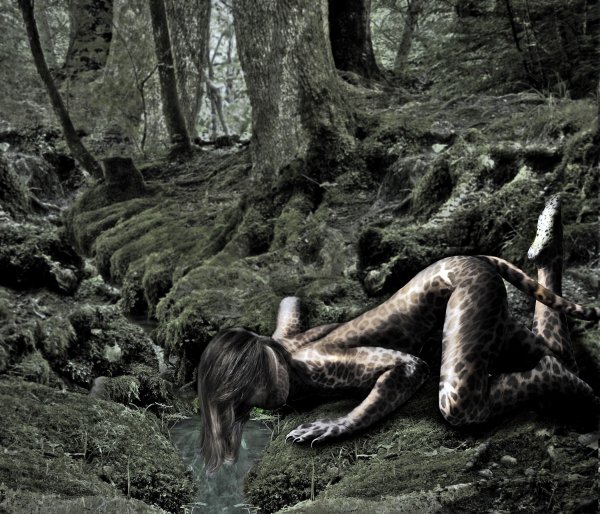 Supernatural beings 528482 2100x1800