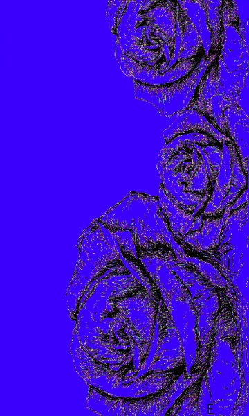 file_73362230