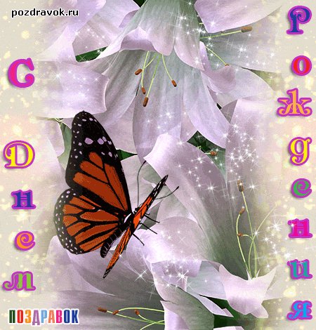 kartinka-den-rozhdeniya-tsvety-babochka