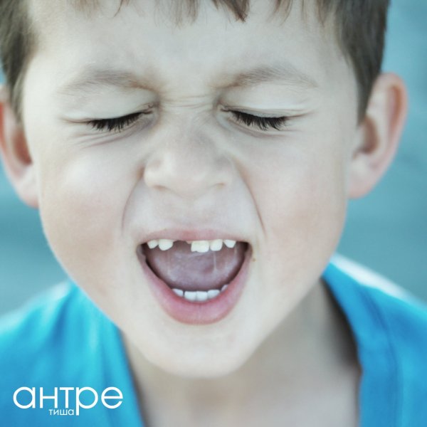 Антре - Примара
