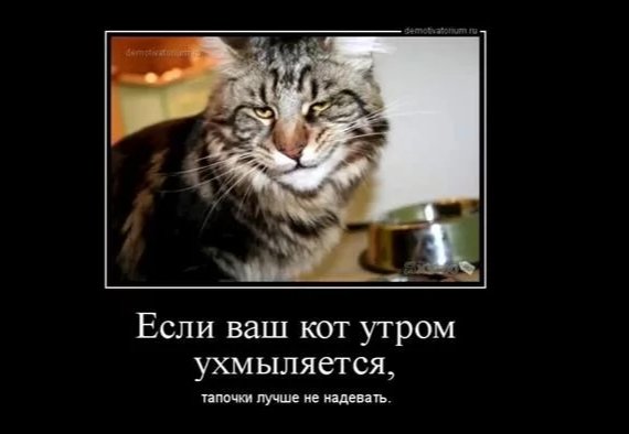 IMG 20250423 183606