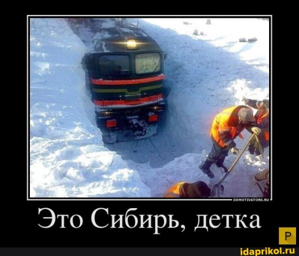 B873ab4cc457adff838e4a5747e04f203b790a8c5f8d0228e4ec 1