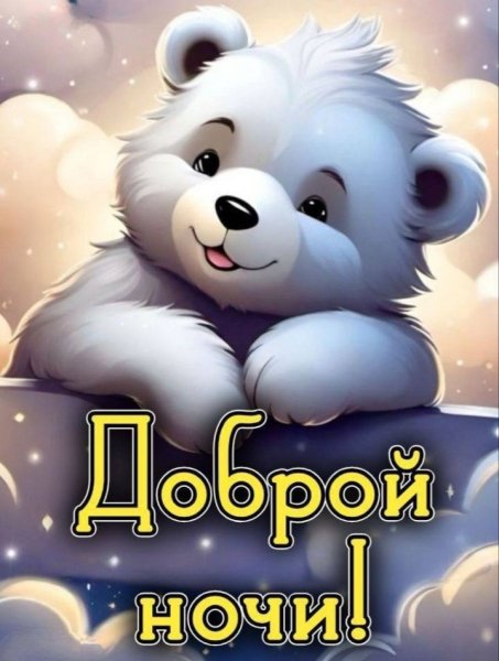 IMG 20241123 215448