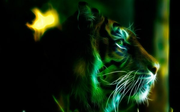 Wallpapers 7272