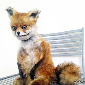 История тихони