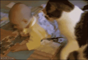 котэ