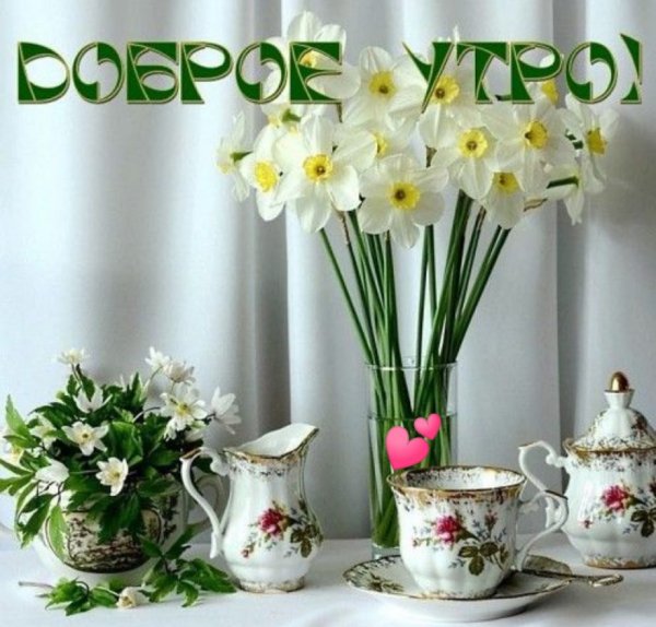 Доброе утро