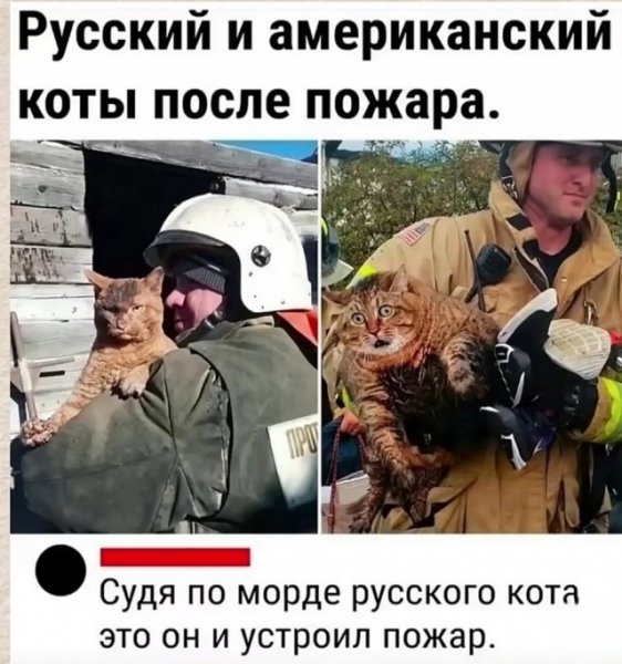 file_103264899