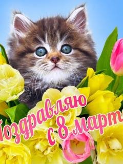 8 март2971
