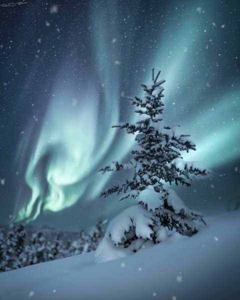 Winterlight