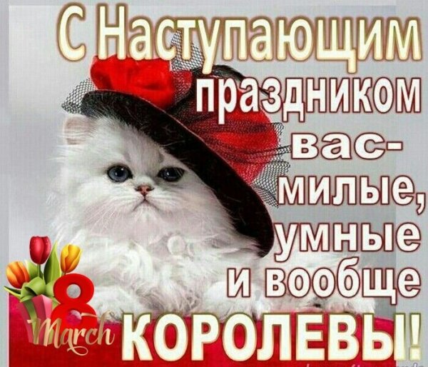 IMG 20210319 221900