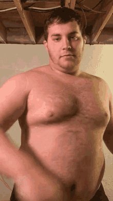 BB
