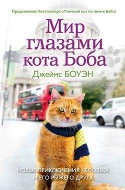 Bouen - Mir glazami kota Boba Novye prik