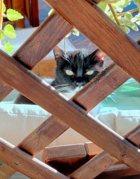 FB IMG 1775508128611