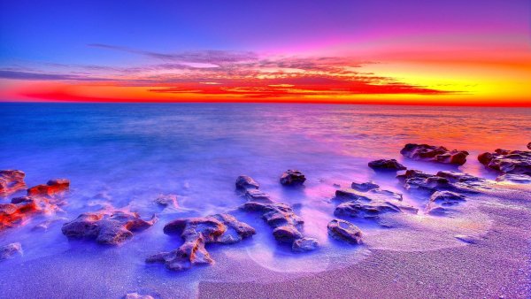 file_81397370