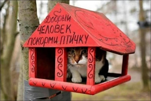 FB IMG 1776446849496