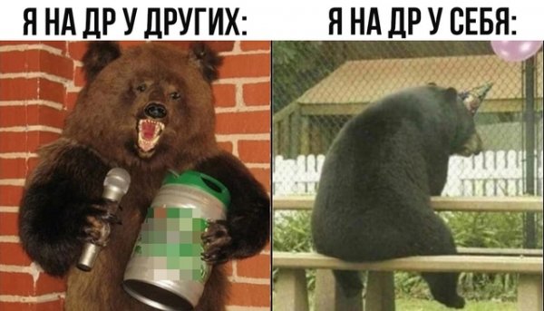 file_97889499