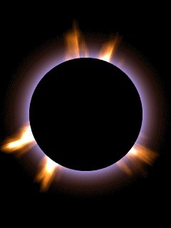 file_13567021