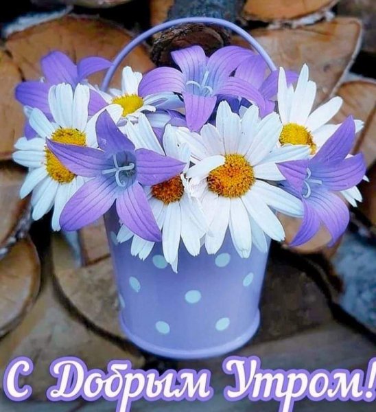 -WYiaajvacU