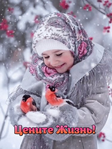 Анимированная открытка минуты счастья