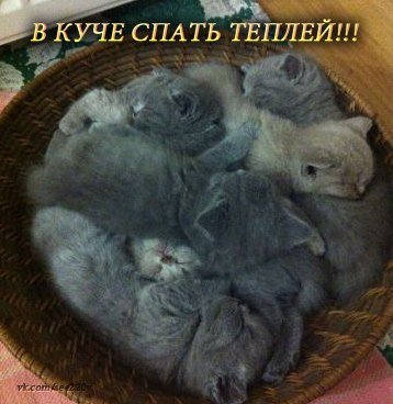 file_90727168