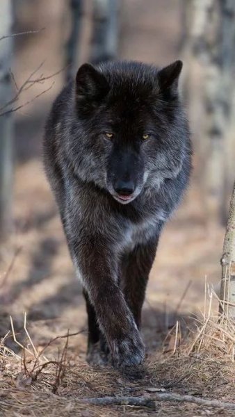 3ce7c3643b948acf150dbe5f1c6f6774