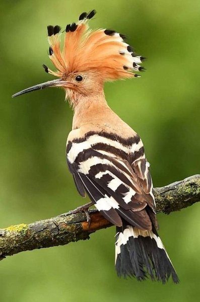 Be4da8406a7055656b7adba2d836e5a6