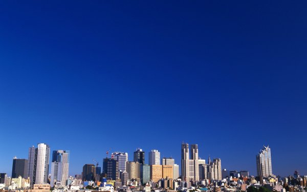 file_72905065