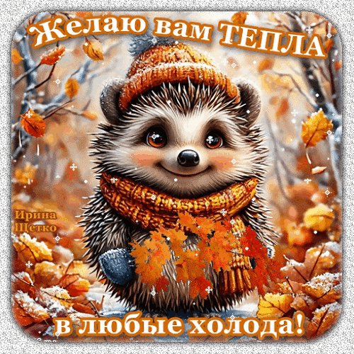 Анимированная открытка желаю вам тепла