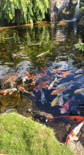 Dc4faee656f2127cfb456148e32a0588