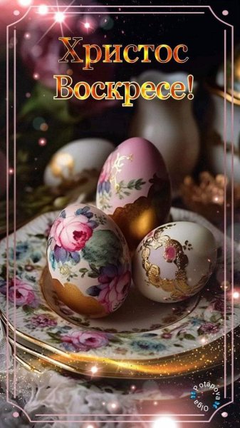 FB IMG 1714930393841