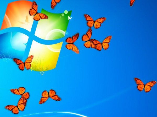 butterflyondesktop
