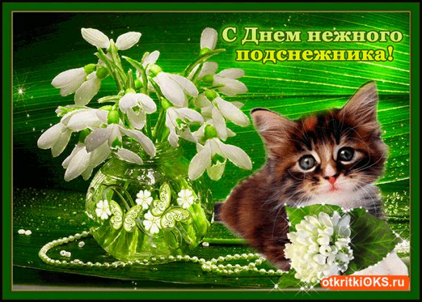 С Днём Подснежника! 19 марта!