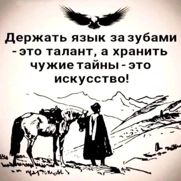FB IMG 1690216742082