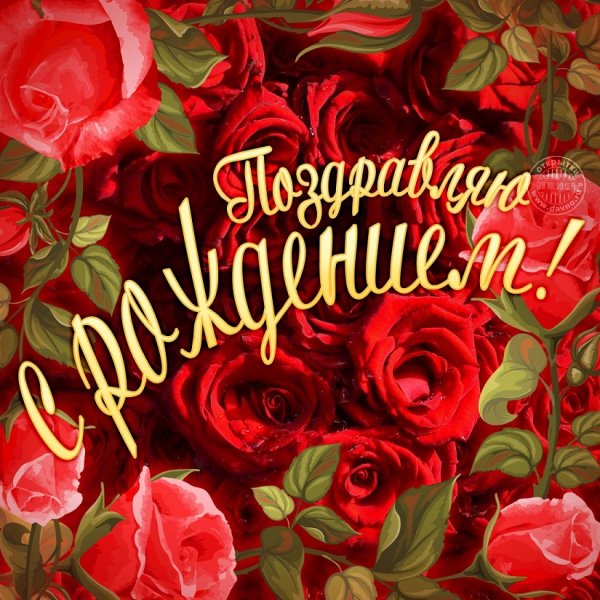Поздравляю с рождением!