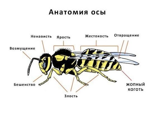 file_85075623