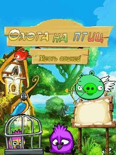 Охота на Птиц Месть Свиней