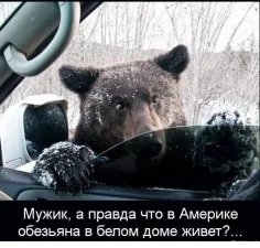 p.236.236.0