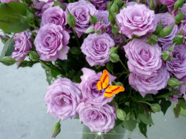 file_92607004